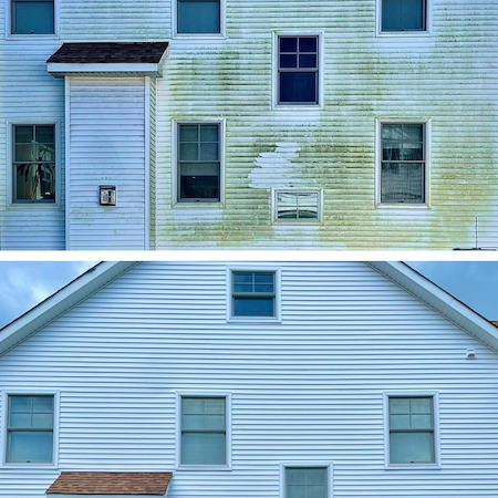 How algae and mildew buildup can damage exterior surfaces