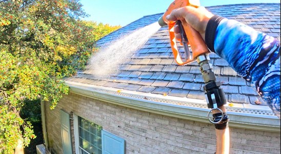 What happens if you ignore black streaks on your roof