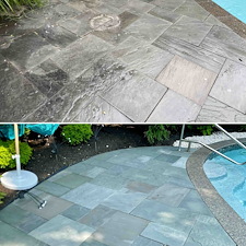 Full-Exterior-Soft-Wash-Hardscape-Surface-Revival-in-Spring-Lake-NJ 7