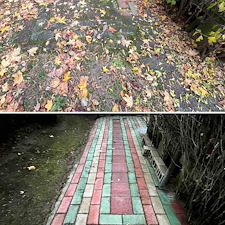 Hazlet-NJ-Roof-Washing-Exterior-Restoration-Eliminating-Moss-Algae-and-Lichen 5