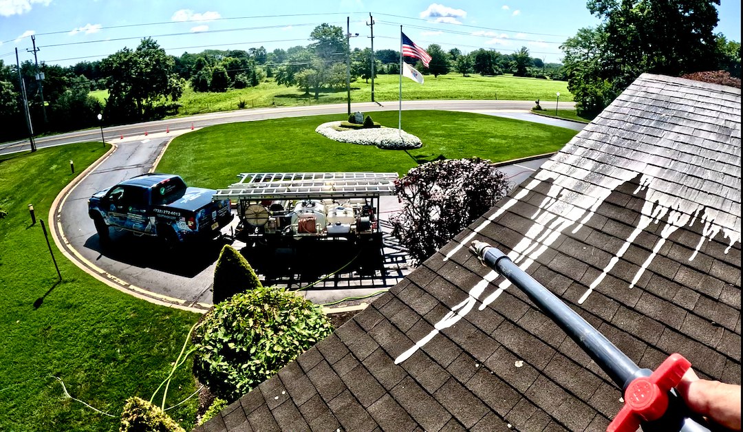 Holmdel NJ Commercial Cleaning: Soft Wash Roof Restoration, Bluestone Revival & Exterior Detailing Image