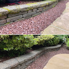 Middletown-NJ-Concrete-Pool-Deck-Restoration-Removing-Deep-Seated-Mold-Revitalizing-Your-Backyard-Oasis 6