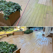 Middletown-NJ-Roof-Cleaning-House-Washing-The-Ultimate-Soft-Wash-Restoration 4