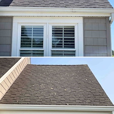 Point-Pleasant-NJ-Professional-Roof-Restoration-Algae-Remediation-Total-Exterior-Preservation 5