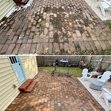 Rumson-NJ-House-Washing-The-Science-of-Safely-Cleaning-Delicate-Painted-Siding 14