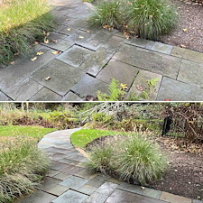 Rumson-NJ-Soft-Wash-Restoration-The-Safe-Way-to-Clean-Old-Brick-Bluestone-and-Vinyl 6