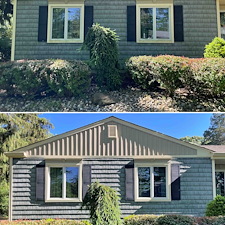 Tinton-Falls-Property-Reset-The-Secret-to-Long-Term-Curb-Appeal-for-Shaded-Jersey-Homes 7